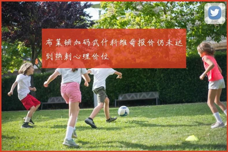 布莱顿加码武什科维奇报价仍未达到热刺心理价位